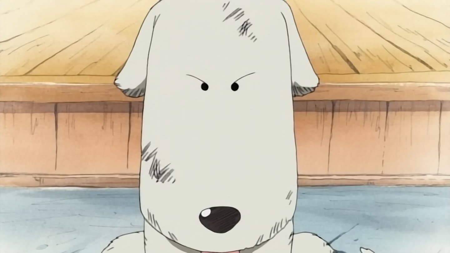 وضع يائس! مروّض الوحوش موجي ضد لوفي!